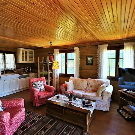 Vila Zeytin Evi *