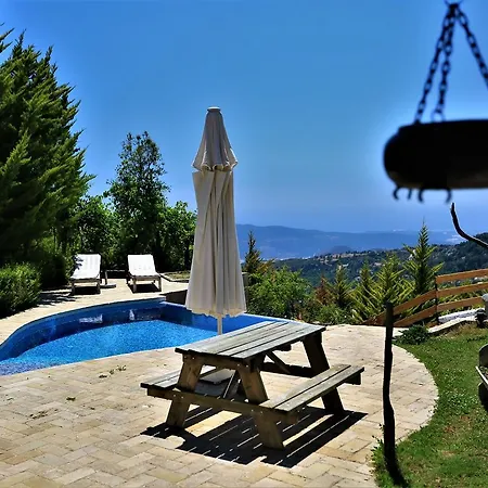 Vila Zeytin Evi *