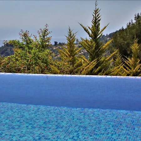 Zeytin Evi Vila *