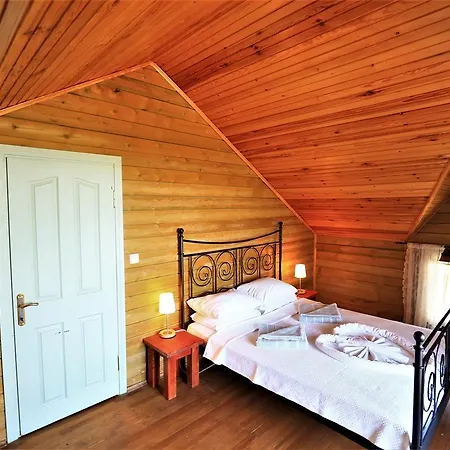 Villa Zeytin Evi